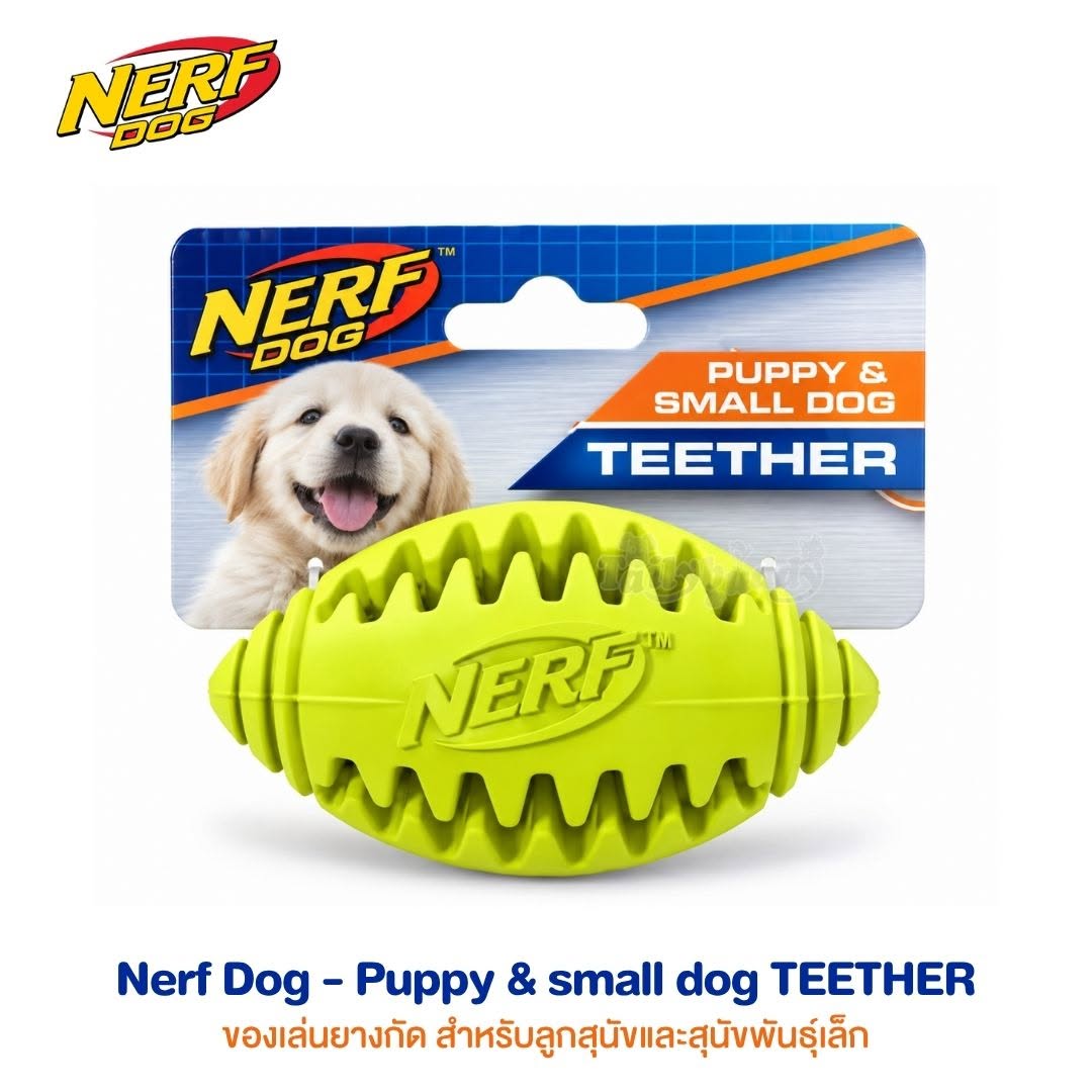 Nerf Dog Teether Football / Small ของเล่นลูกสุนัข ช่วยขัดฟัน (สีเขียว) (5016)