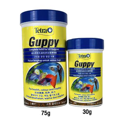 Tetra Guppy สำหรับปลาหางนกยูง ปลาคิลลี่และปลาออกลูกเป็นตัวชนิดอื่นๆ  (อาหารชนิดแผ่น)