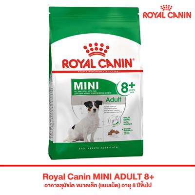 Royal Canin MINI ADULT 8+ ( 2 kg , 8 kg )