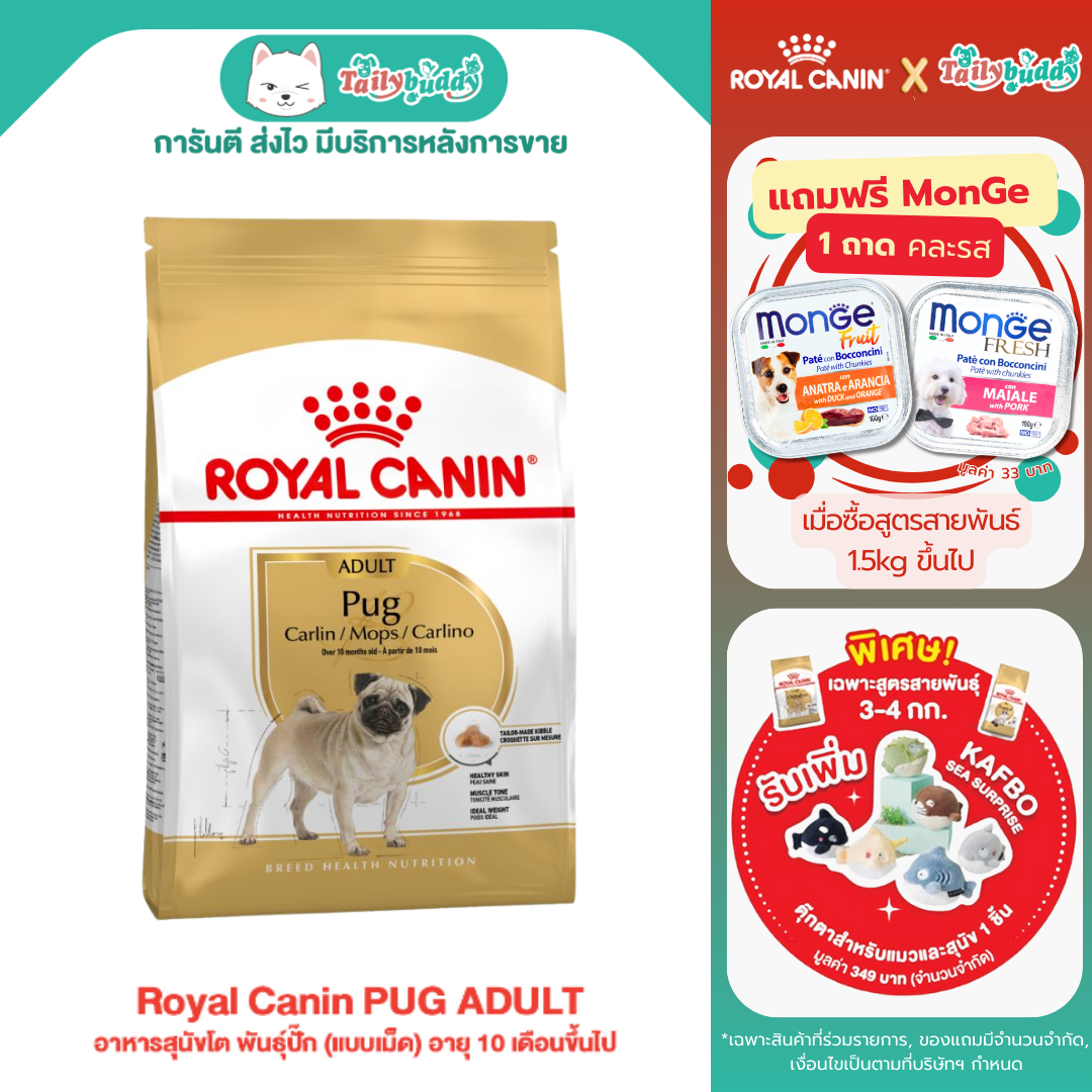 Royal Canin PUG ADULT อาหารสุนัขโต พันธุ์ปั๊ก (แบบเม็ด) อายุ 10 เดือนขึ้นไป (500 g ,1.5kg)
