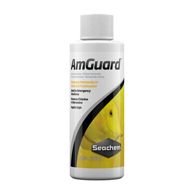 Seachem AmGuard - น้ำยาลดค่าแอมโมเนียแบบเร่งด่วน ภายใน 72 ชม. (250ml)