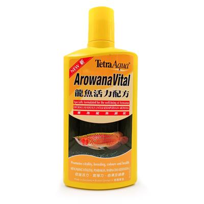 (EXP:31/01/2024) Tetra Arowana Vital วิตามินบำรุงสำหรับอโวราน่า ช่วยขับสีให้ชัดเจนตามธรรมชาติ กระตุ้นความอยากอาหาร (500ml.)