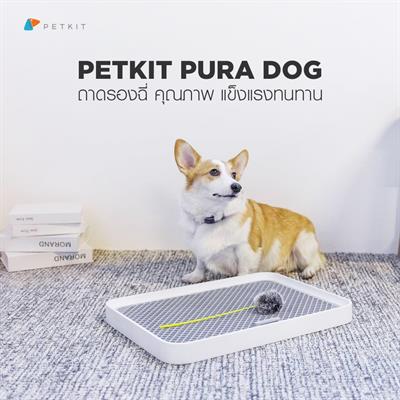 PETKIT PURA DOG – Dog Training Litter Tray,  Transparent Easy-Lid Dog Urination Toilet Tray W/ Multi-Cornered Training Pad Holders