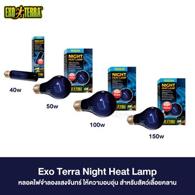 Exo Terra Night Heat Lamp - Moonlight Lamp Stimulates breeding behavior in reptiles and amphibians (15-150W)