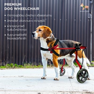 WHEELCARE - wheelchair dog วีลแชร์ รถเข็น สำหรับสัตว์พิการขาหลัง ทำจากอลูมิเนียมอัลลอยด์ คุณภาพสูง มีหลายขนาดปรับได้ตามรูปร่างของสัตว์เลี้ยง (สีแดง WR-1)
