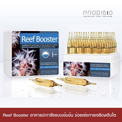 Prodibio Reef Booster อาหารปะการังและหินเป็น แบบเข้มข้น ช่วยเร่งการเจริญเติบโตของปะการังในตู้ปลาทะเล (1 กล่อง, 30 หลอด)