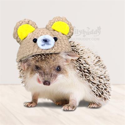 Cute cartoon pattern knitted hat for dwarf hedgehog, Sugar Glider or other small animals