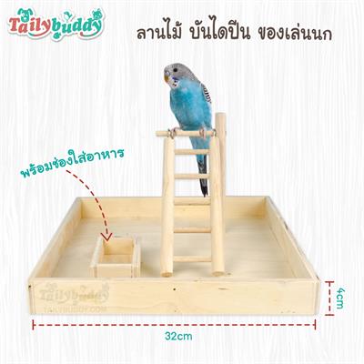 BirdBox IQ Training Bird Toy Yard with a frame for training food/snacks various patterns
