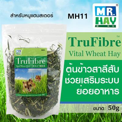 MR.HAY Vital Wheat Hay - choppy wheat hay, natural protein source for hamster, helping digestion MH11 (50g)