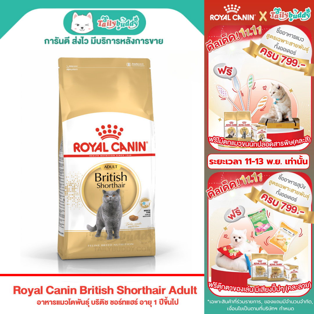 Royal Canin British Shorthair Adult อาหารแมวโตพันธุ์ บริติช ชอร์ทแฮร์ อายุ 1 ปีขึ้นไป