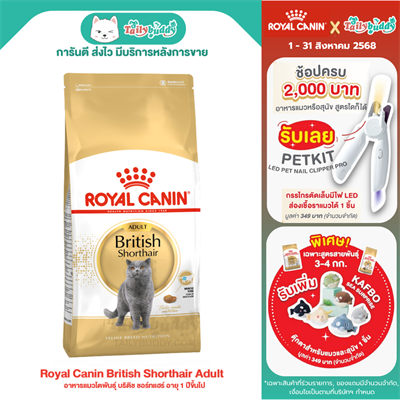 Royal Canin British Shorthair Adult อาหารแมวโตพันธุ์ บริติช ชอร์ทแฮร์ อายุ 1 ปีขึ้นไป