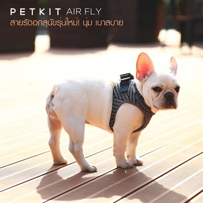 PETKIT AIR FLY - gives you and your dog a comfortable and relaxed walking experience with 3D integrated weaving technology