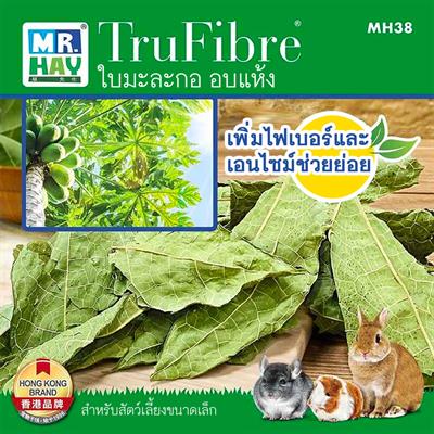 MR.HAY TruFibre Papaya Leaf - Rich in papaya enzyme, Vitamin, aid in digestive system 20g (MH38)