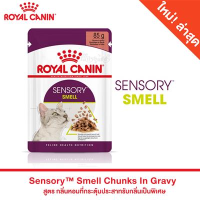 Royal Canin SENSORY SMELL Chunks in gravy - Complete feed for adult cats  (85g)