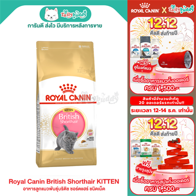Royal Canin British Shorthair Kitten อาหารลูกแมวพันธุ์บริติช ชอร์ตแฮร์ ชนิดเม็ด