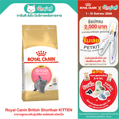 Royal Canin British Shorthair Kitten อาหารลูกแมวพันธุ์บริติช ชอร์ตแฮร์ อายุ 4-12 เดือน แบบเม็ด