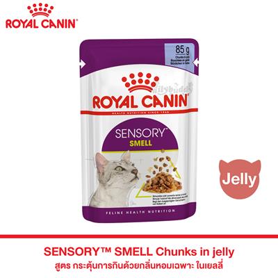 Royal Canin SENSORY SMELL Chunks in jelly - Complete feed for adult cats  (85g)