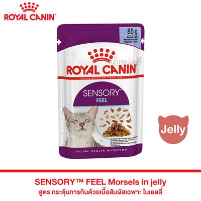Royal Canin SENSORY FEEL Morsels in jelly - Complete feed for adult cats with a unique texture (85g)