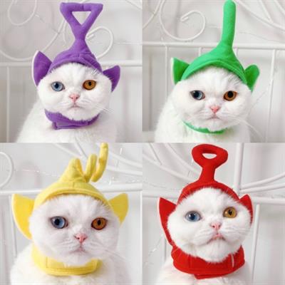 (Pre-order 2-3 วัน) purrpet หมวกสัตว์เลี้ยง เทเลทับบี้