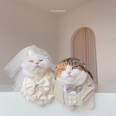 (Pre-order 2-3 day) purrpet Wedding Dress for pet ชุดแต่งงานสำหรับสัตว์เลี้ยง