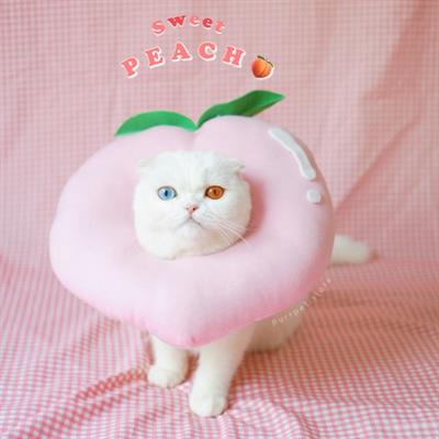 (Pre-order 2-3 วัน) purrpet Sweet PEACH คอลล่าพีช กันเลีย กันเกา