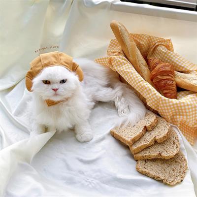 (Pre-order 2-3 day) purrpet croissant Hat