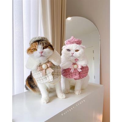 (Pre-order 2-3 day) purrpet Preppy set for pet