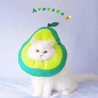 (Pre-order 2-3 วัน) purrpet Happy AVOCADO คอลล่าอะโวคาโด กันเลีย กันเกา