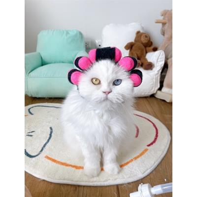 (Pre-order 2-3 day) purrpet Grandma Hat