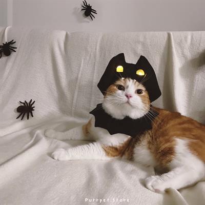 (Pre-order 2-3 วัน) purrpet ชุดแบทแมน purrpet HALLOWEEN