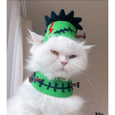 (Pre-order 2-3 day) purrpet Frankenstein