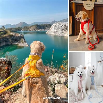 Woofella Walk Kit - Premium Harness Walk Kit, Colorful waterproof harness with leash