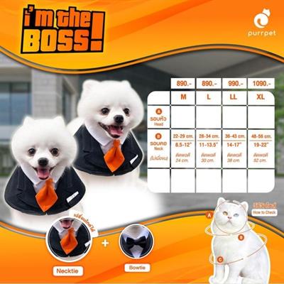 Purrpet Collection-Black suit, orange tie