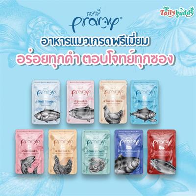 PRAMY พรามี่ อาหารเปียกแมวโต แบบซอง บำรุงสุขภาพ ชิ้นใหญ่ เต็มคำ (70g)