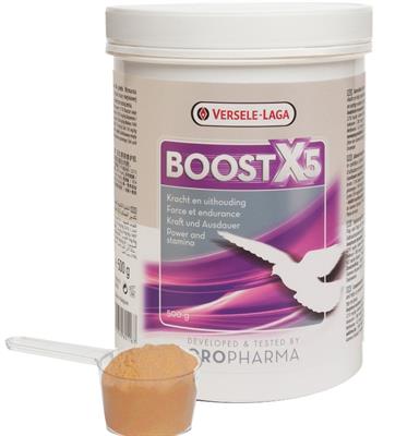 Oropharma Boost X5 บูธเร่งพลัง 5 เท่า สร้างกล้ามเนื้อ เพิ่มพลัง นกพิราบ นก ไก่ เร่งพลัง (500g)