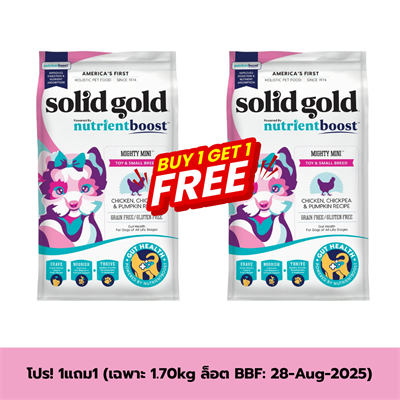 สูตรใหม่ Solid gold Mighty Mini Chicken (Grain & Gluten Free)  อาหารสุนัขพันธ์ุเล็ก ทอย (เม็ดจิ๋ว) รสไก่ ถั่วลูกไก่ และฟักทอง เน้นบำรุงขน เสริมกล้ามเนื้อเป็นพิเศษ
