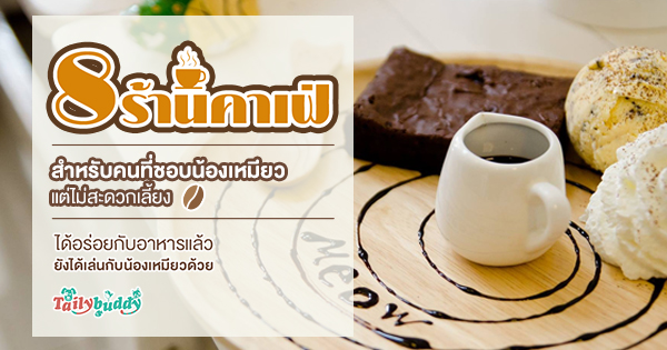 8 ร้านคาเฟ่ สำหรับคนที่ชอบน้องเหมียว แต่ไม่สะดวกเลี้ยง ได้อร่อยกับอาหารแล้ว ยังได้เล่นกับน้องเหมียวด้วย