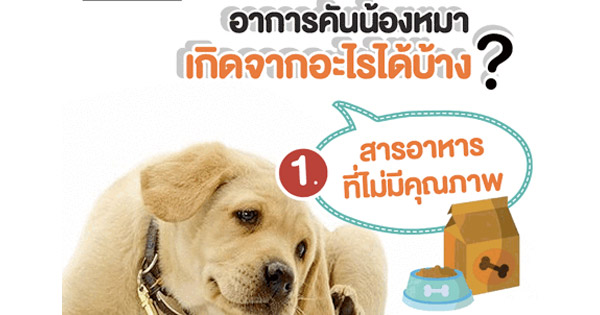 อาการคันน้องหมา เกิดจากอะไรได้บ้าง?