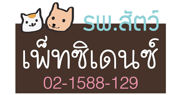 Petsidence โรงพยาบาลสัตว์ที่เน้นเรื่องความจริงใจ