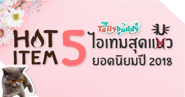 Hot Item!!!  5 อันดับ ไอเทมสุดแมว ยอดนิยมประจำปี 2018